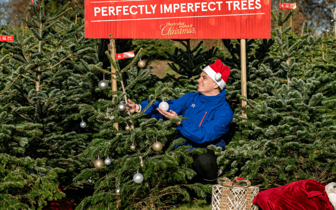 Tesco is giving away hundreds of real Christmas trees for free this weekend – everything you need to know, plus how to get your hands on one