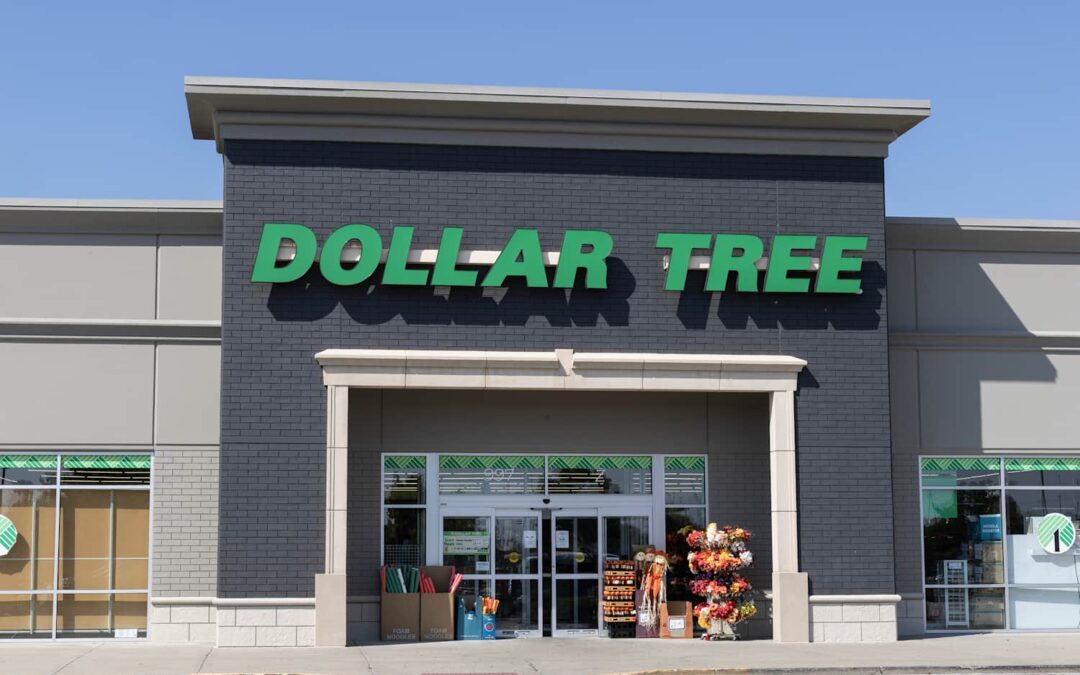 Dollar Tree Is Selling the Cutest Productivity Gem