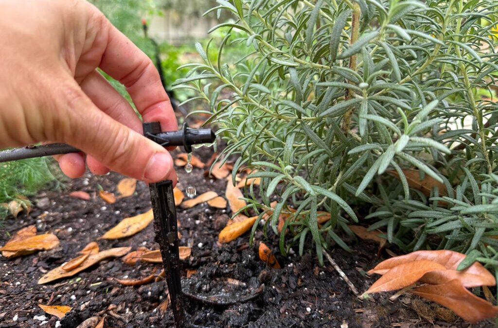 How To Install a Drip Irrigation System