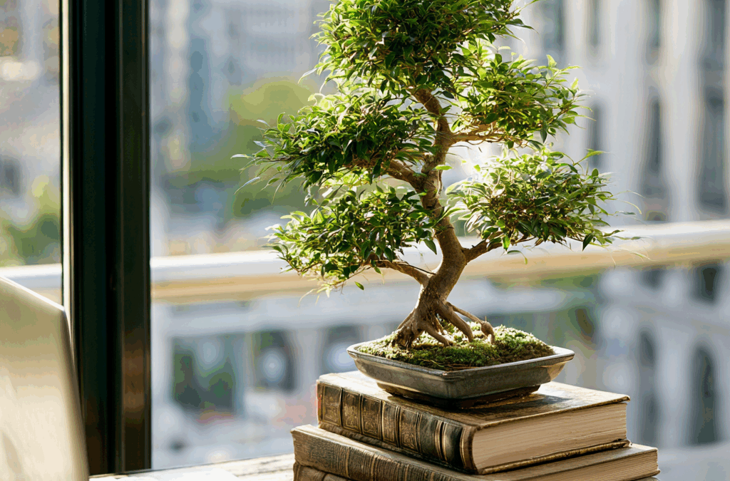 How Big Do Bonsai Trees Get? Beginner’s Growing Guide