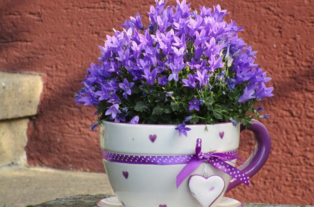 Creative Container Gardening Ideas