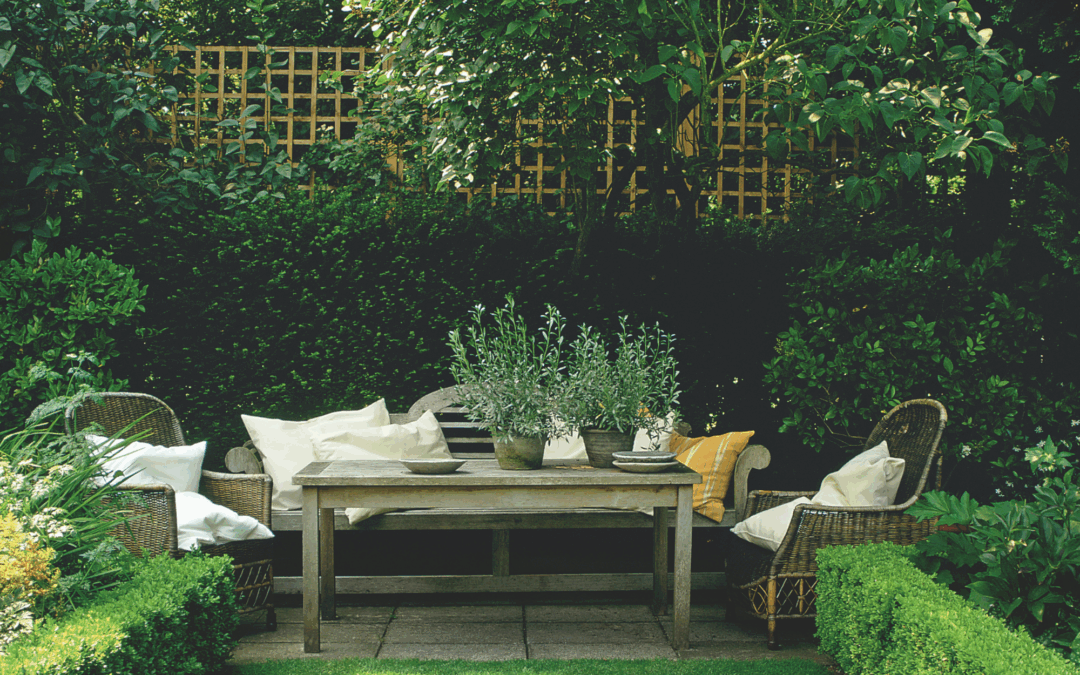 Gardeners urged to perform vital check when cutting hedges back this September – or risk breaking the law
