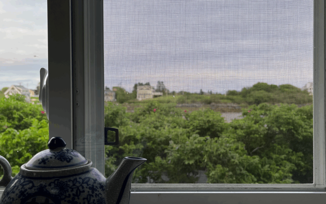 Hot countries swear by this clever fix to keep mosquitoes out of their homes – and now it’s finally becoming popular in the UK