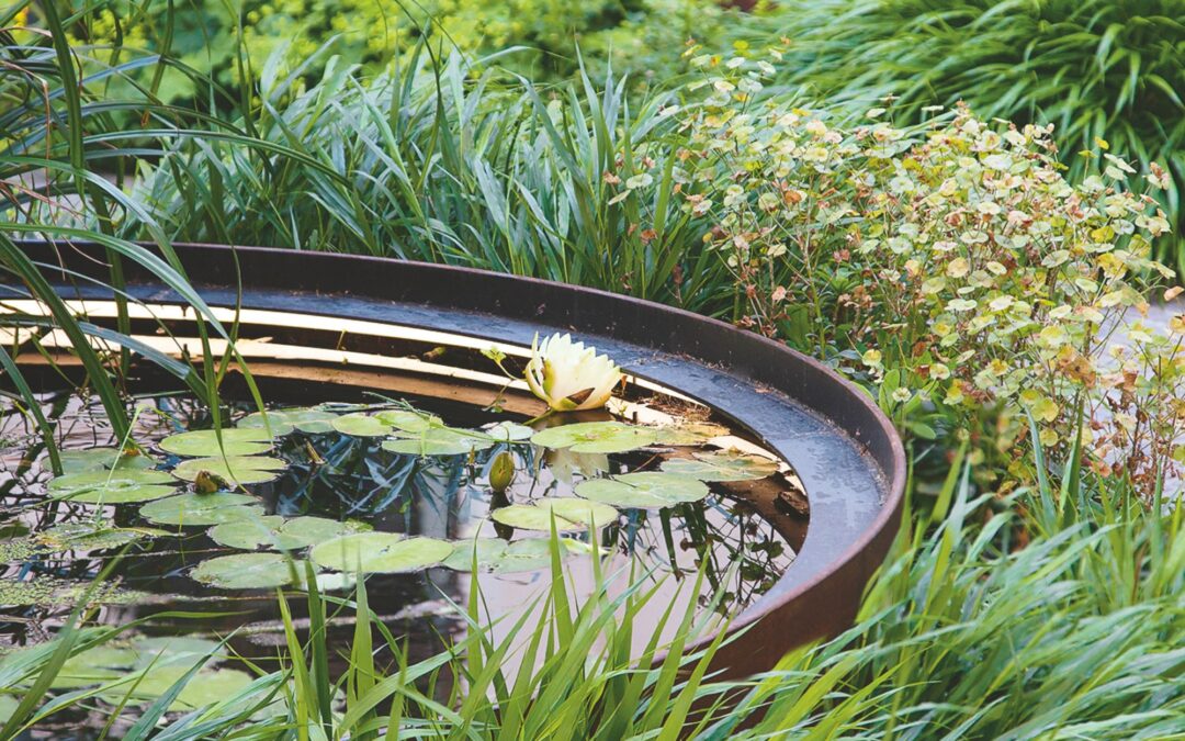 Monty Don’s tranquillity pond is the only water feature inspiration you need – it makes his garden look magical