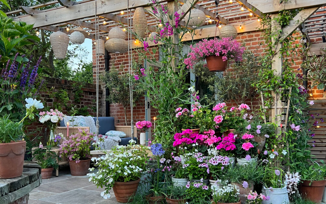 ‘My pergola was reported twice’ – homeowner was ordered to take down her pergola after the council called it an ‘intrusive feature’