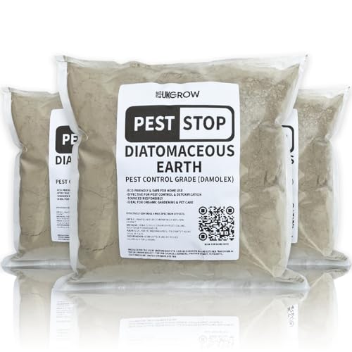 The natural way to kill maggots in a kitchen bin without relying on harsh chemicals – it costs just £10 on Amazon